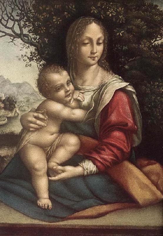 Cesare da Sesto Madonna and Child Sweden oil painting art